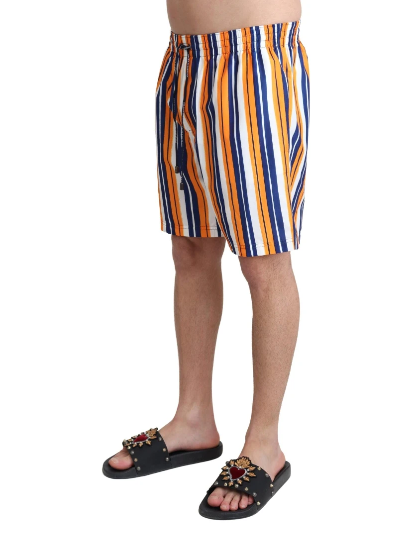 Multicolor Striped Beachwear Swimshorts