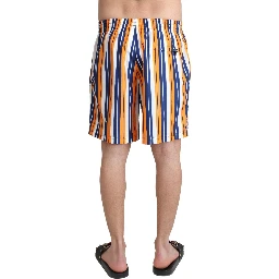 Multicolor Striped Beachwear Swimshorts