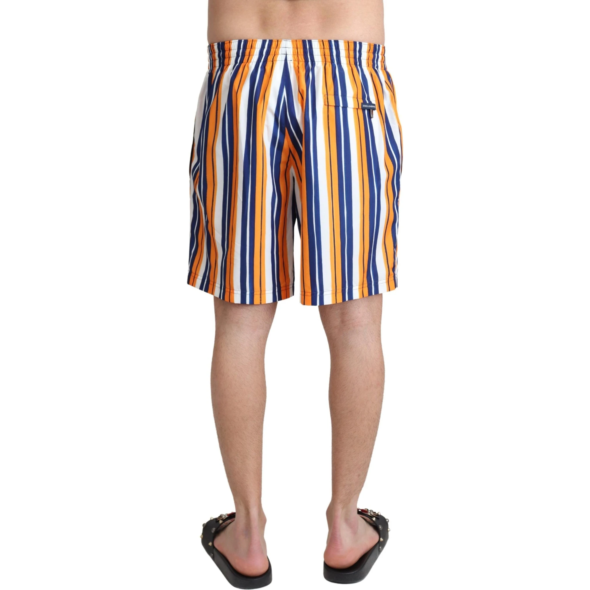 Multicolor Striped Beachwear Swimshorts