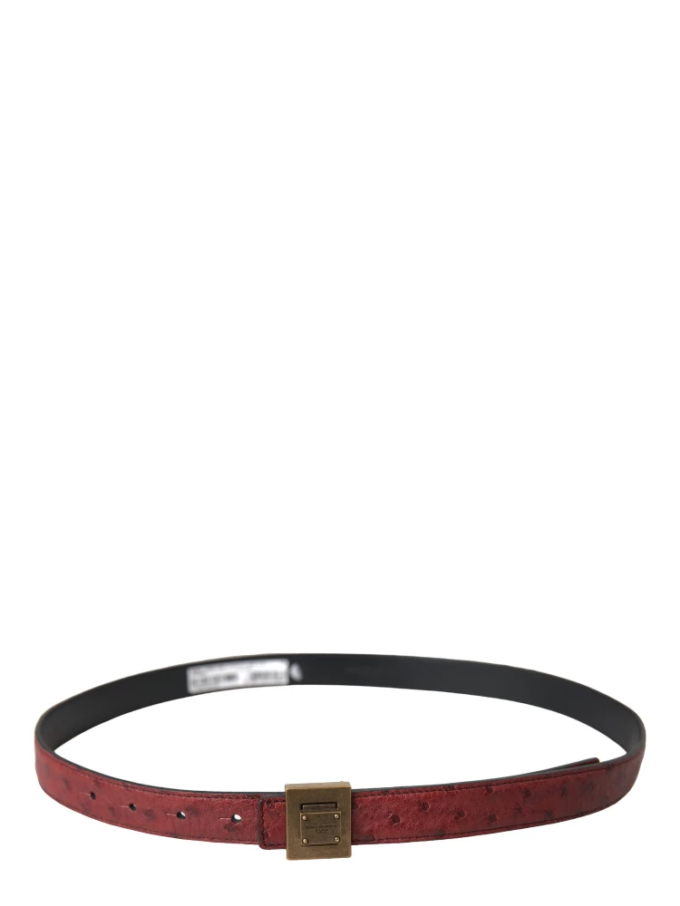 Brown Leather Square Metal Buckle Belt alternative
