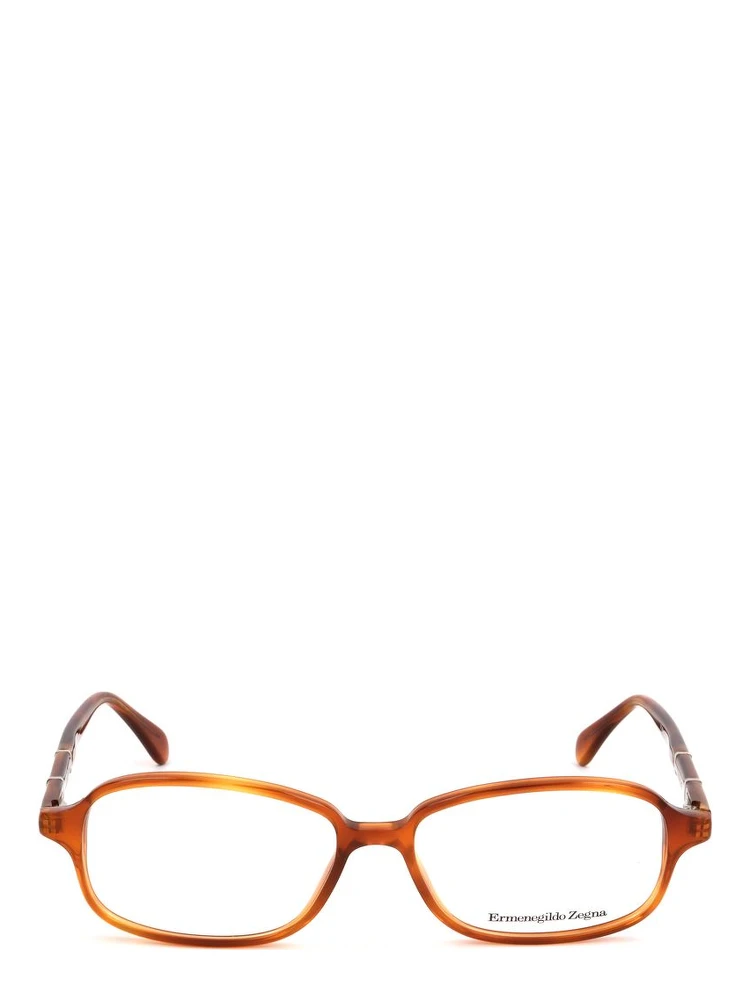 Brown Plastic Glasses (Frames)