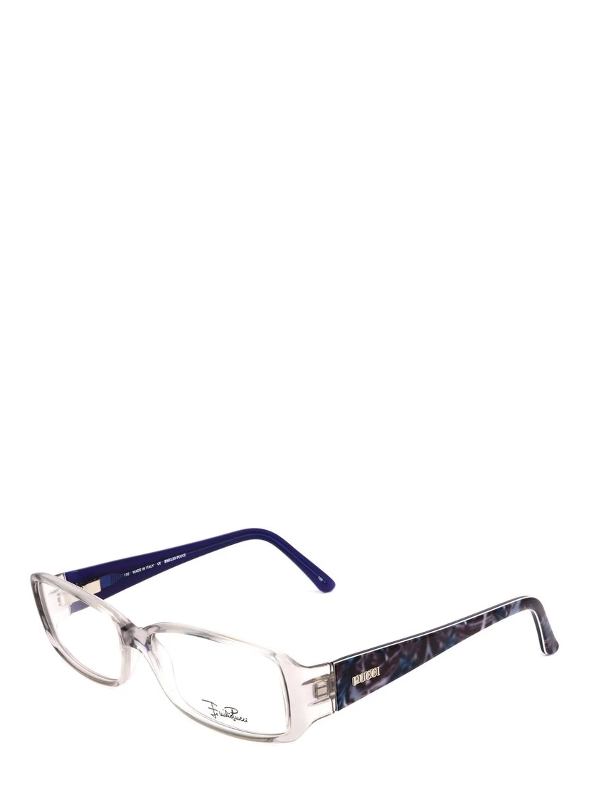 Blue Plastic Glasses (Frames)