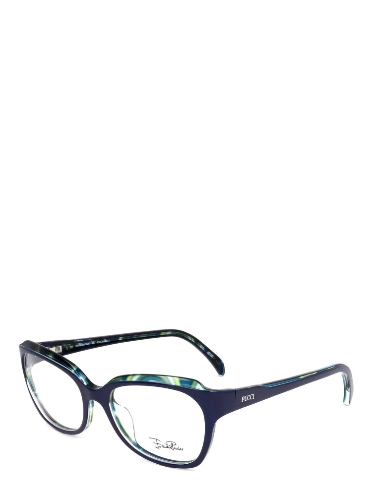 Blue Plastic Glasses (Frames)