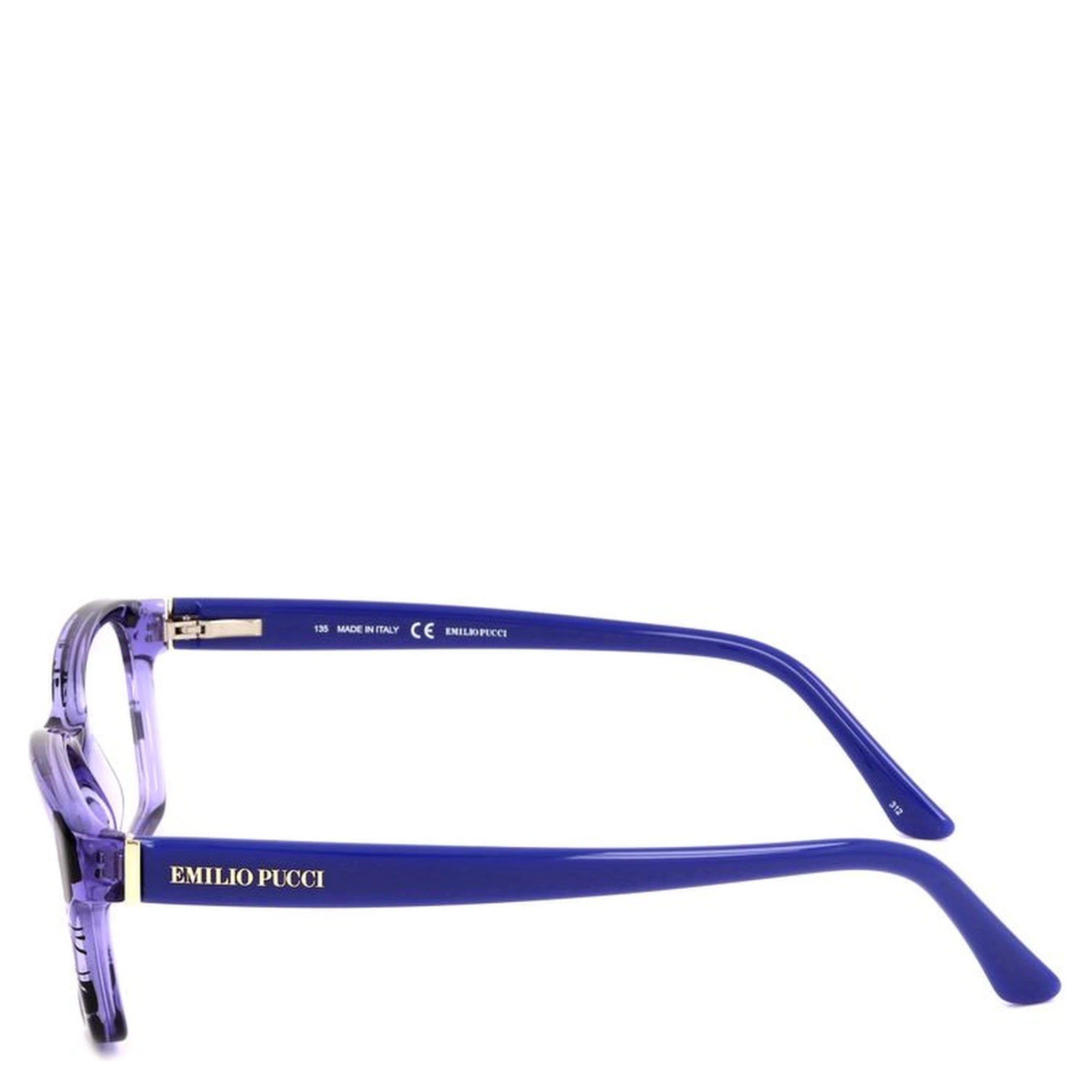 Blue Plastic Glasses (Frames)
