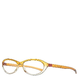 Orange Plastic Glasses (Frames)