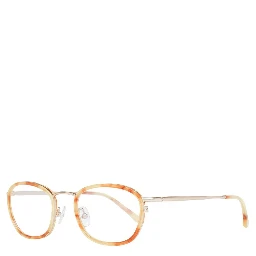 Brown Plastic Glasses (Frames)