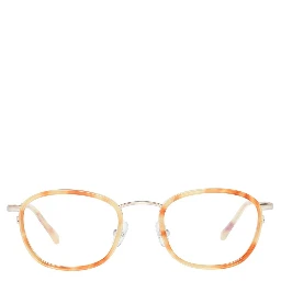 Brown Plastic Glasses (Frames)