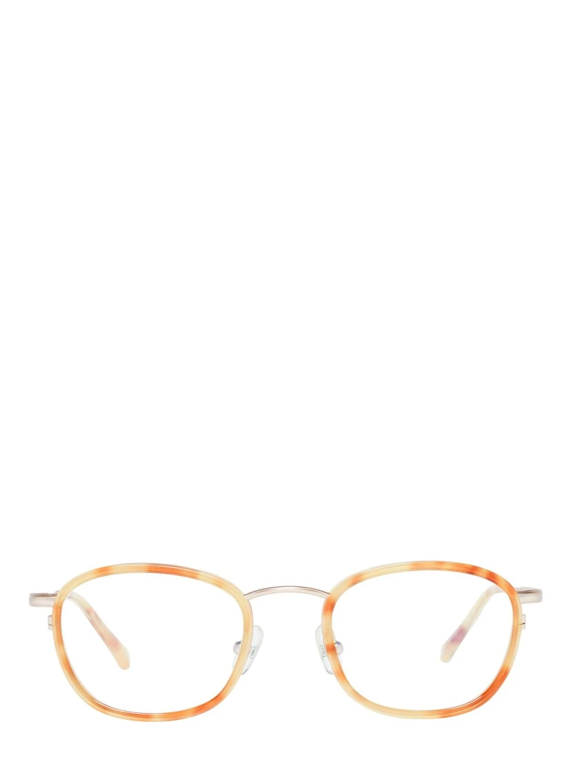 Brown Plastic Glasses (Frames)