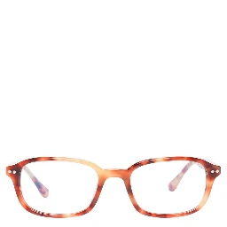 Brown Plastic Glasses (Frames)