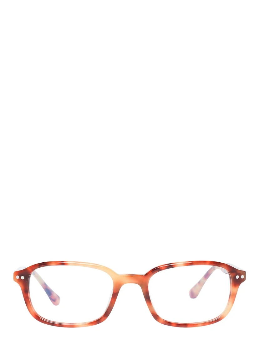 Brown Plastic Glasses (Frames)