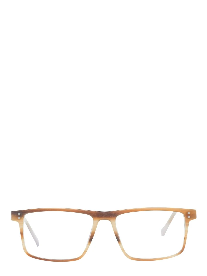 Brown Plastic Glasses (Frames)