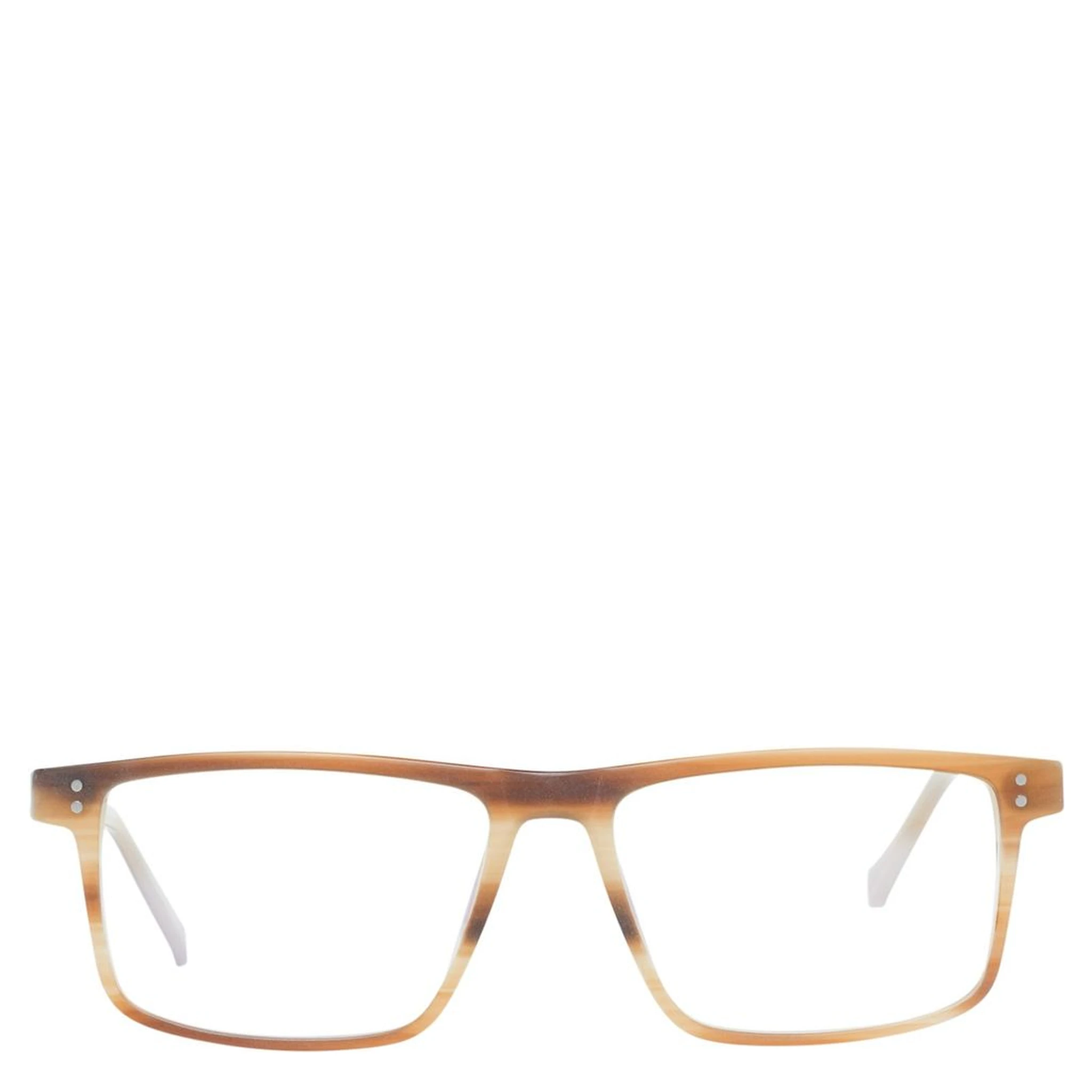 Brown Plastic Glasses (Frames)