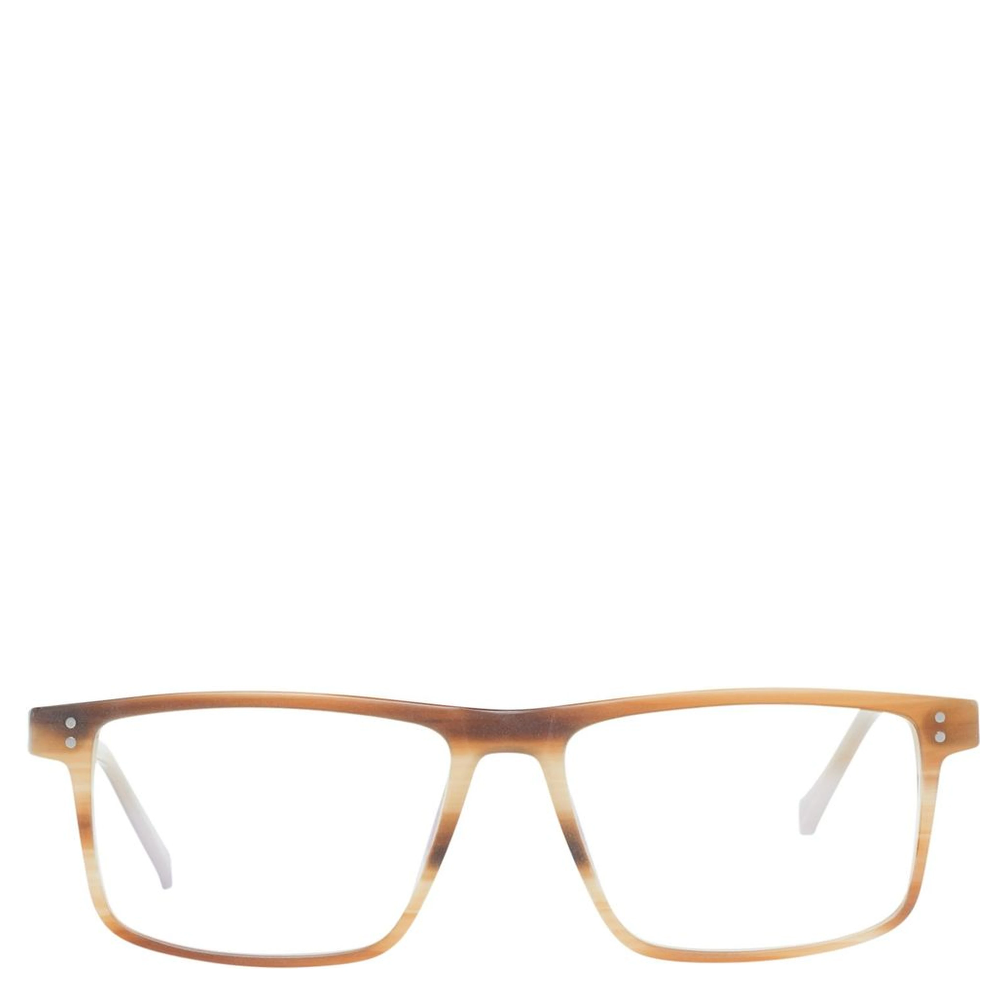 Brown Plastic Glasses (Frames)