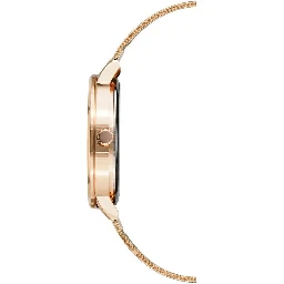 Multicolor Stainless Steel Dress Watch