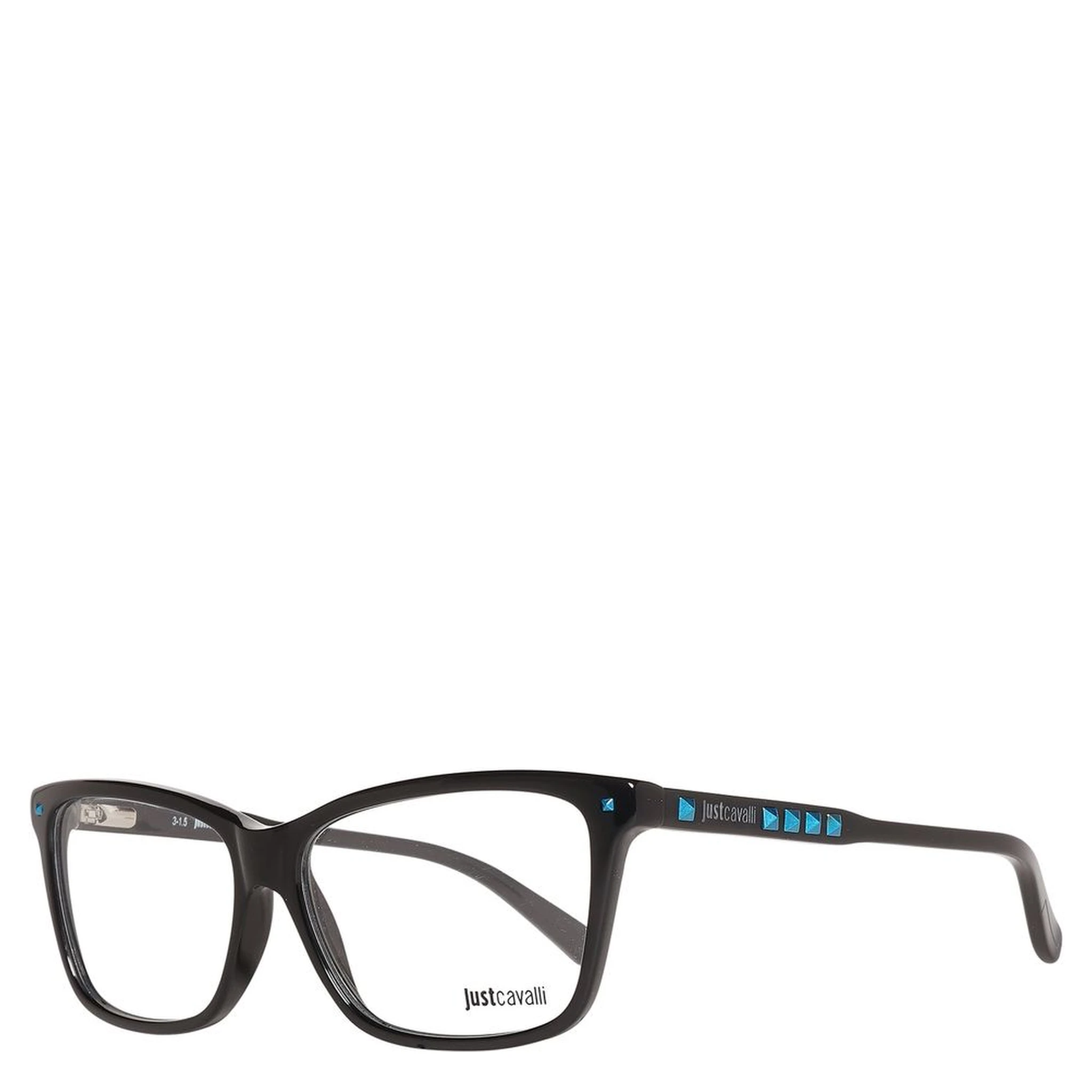 Black Plastic Glasses (Frames)
