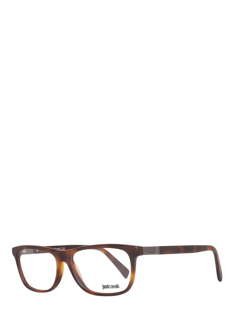 Brown Plastic Glasses (Frames)