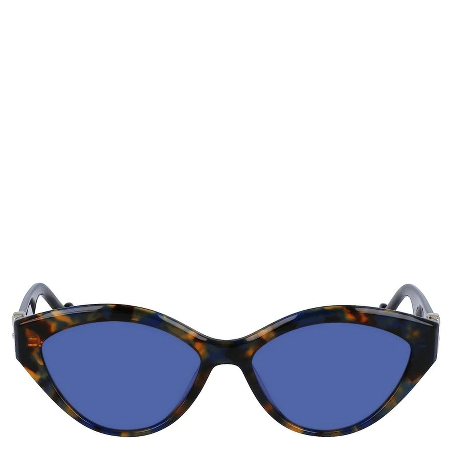 Blue Acetate Sunglasses