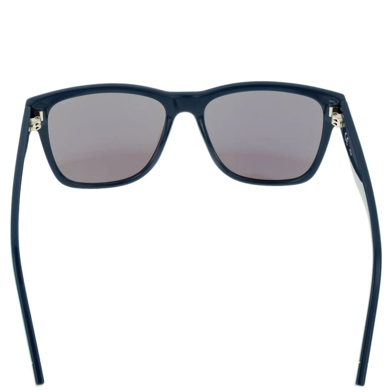 Blue Plastic Sunglasses