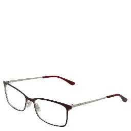 Burgundy Stainless Steel Glasses (Frames)