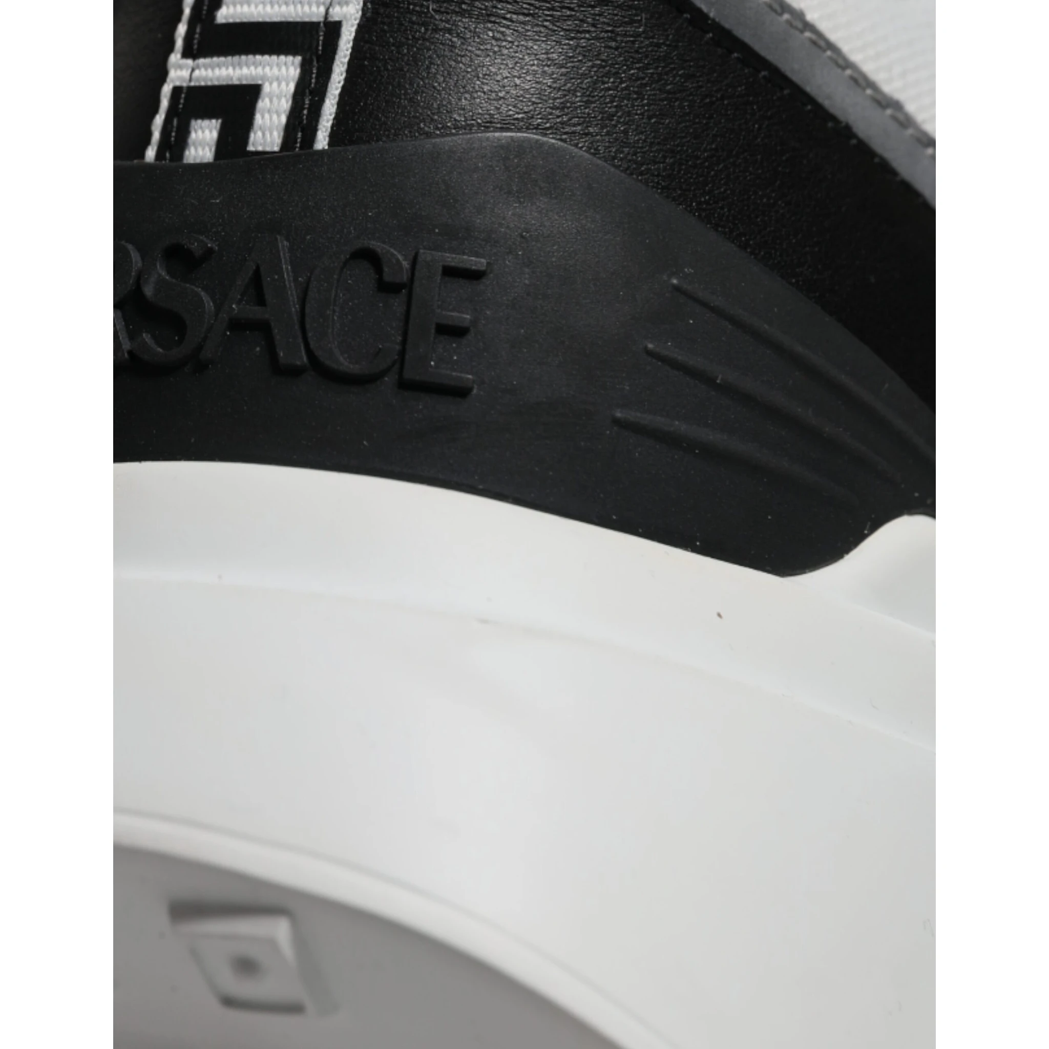 Multicolor Canvas Quad Fabric Medusa Low Top Sneakers Shoes