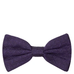 Purple Silk Bowtie