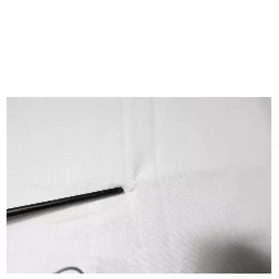 White DG Logo Cotton Crew Neck T-shirt