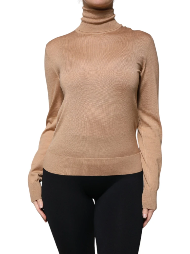 Brown Turtleneck Long Sleeve Pullover Sweater