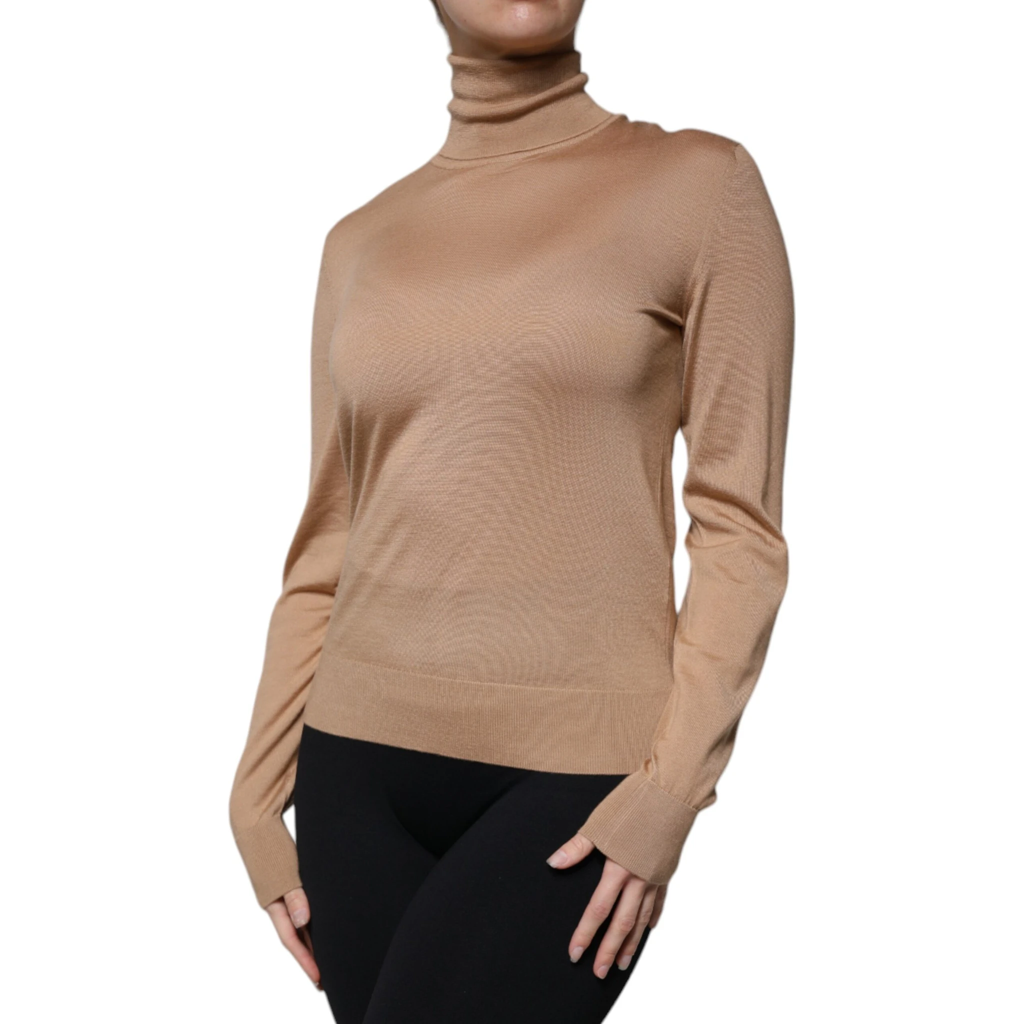Brown Turtleneck Long Sleeve Pullover Sweater