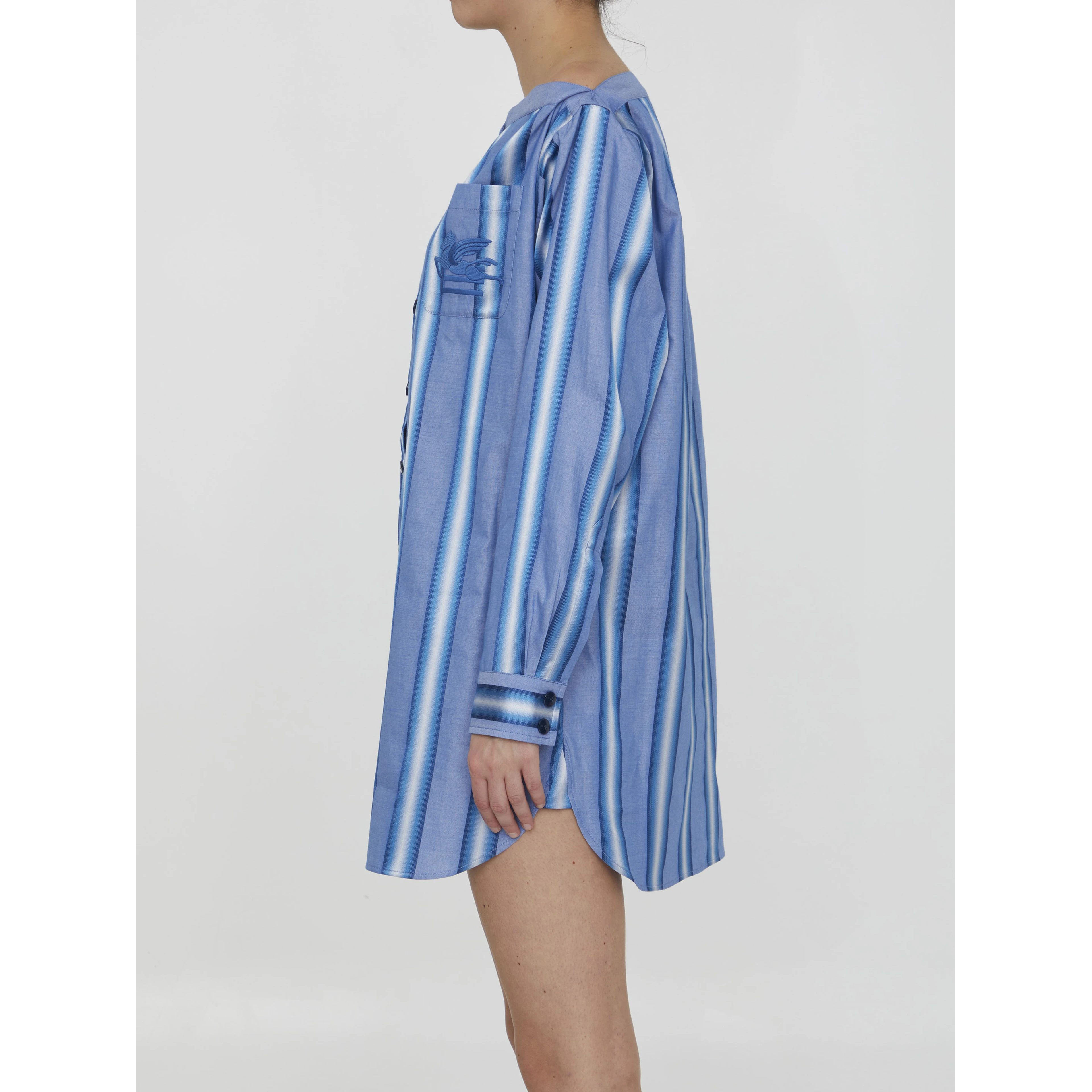 Striped shirt dress