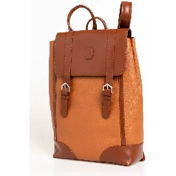 Brown Leather Men Backpack