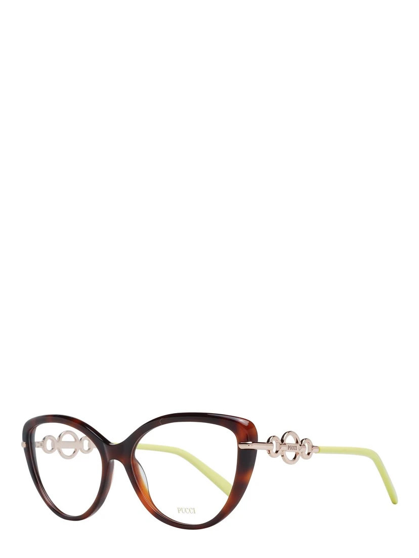 Brown Plastic Glasses (Frames)