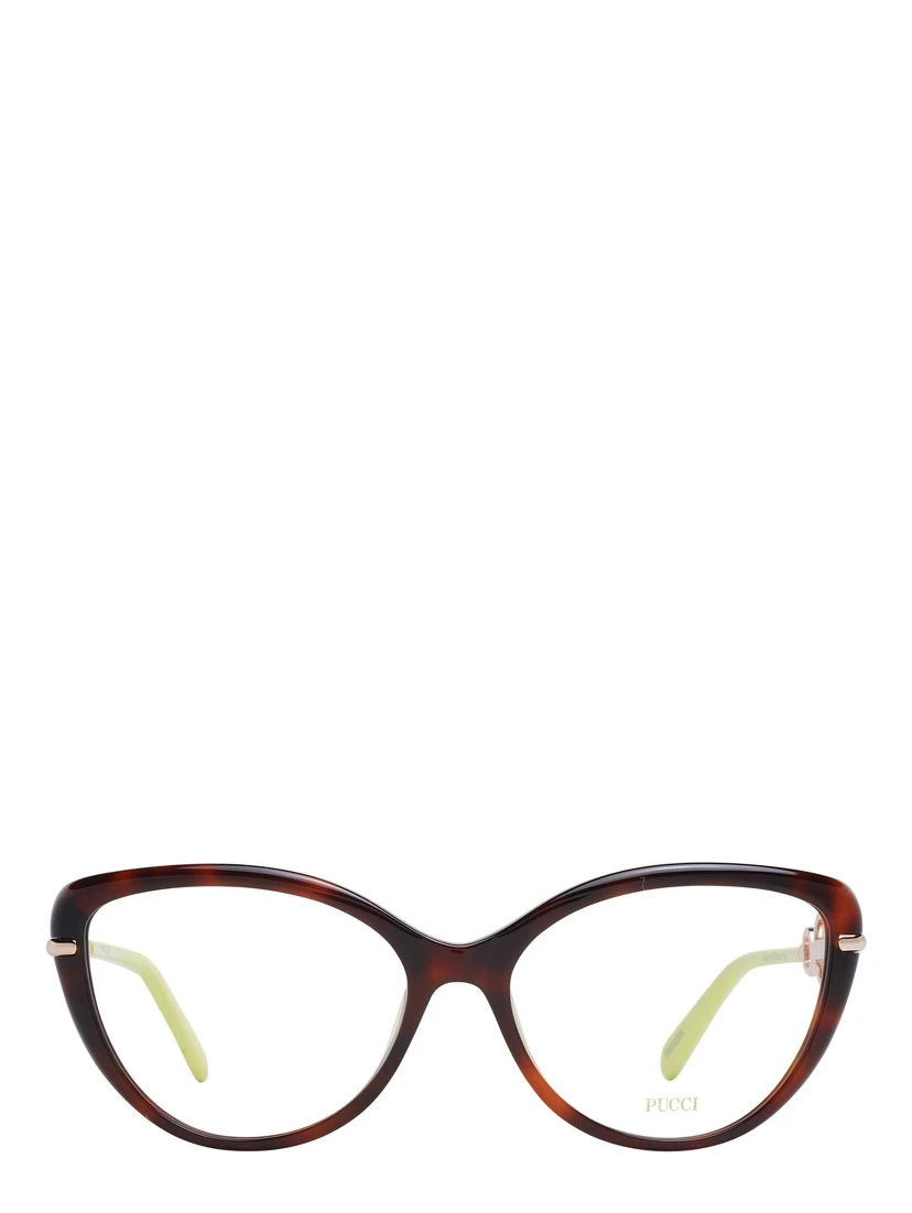 Brown Plastic Glasses (Frames)