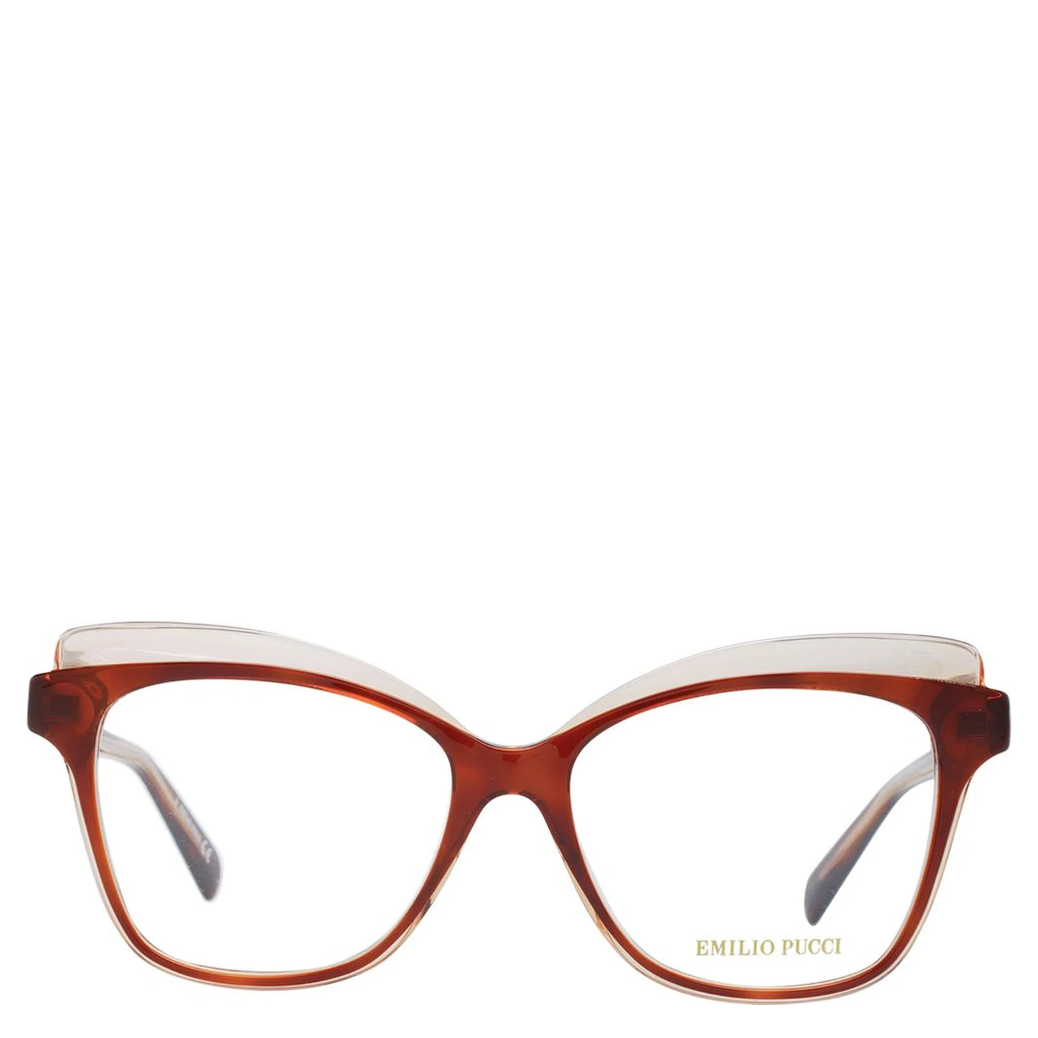 Brown Plastic Glasses (Frames)