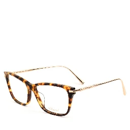 Brown Titanium Glasses (Frames)