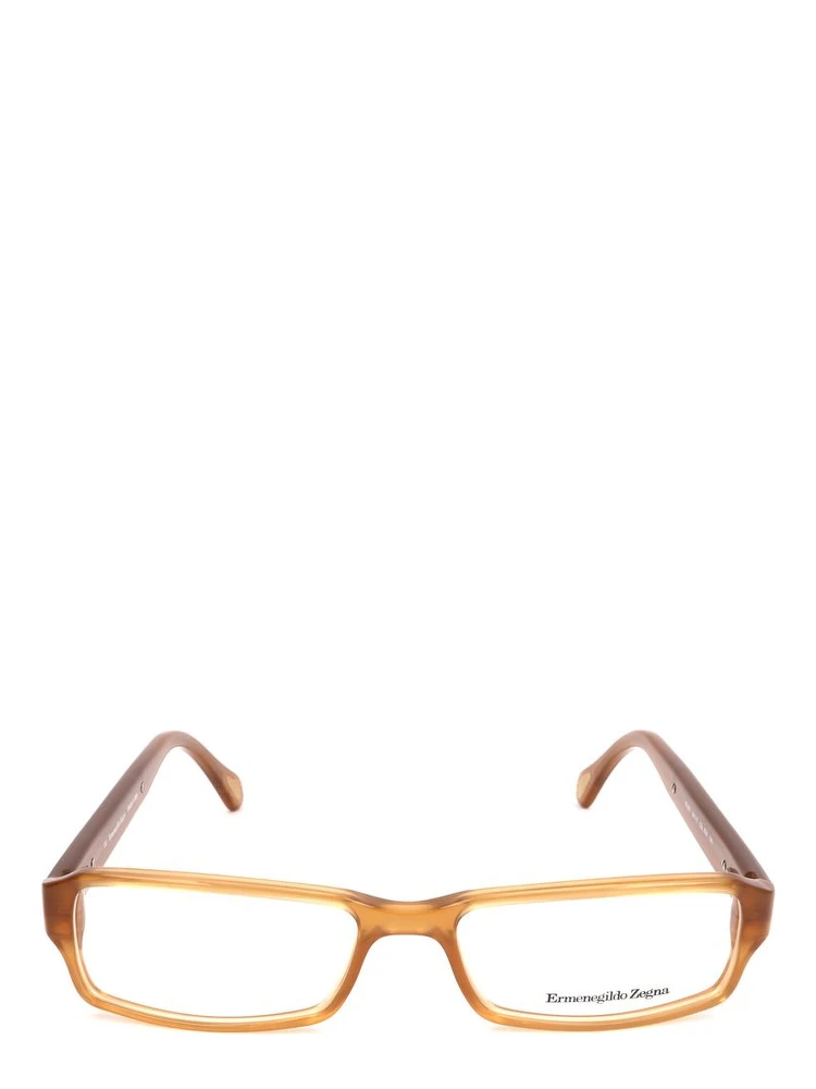 Brown Plastic Glasses (Frames)