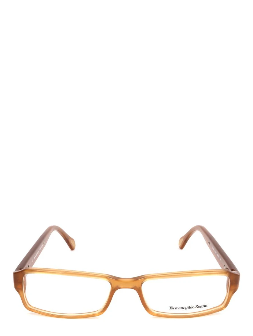 Brown Plastic Glasses (Frames)