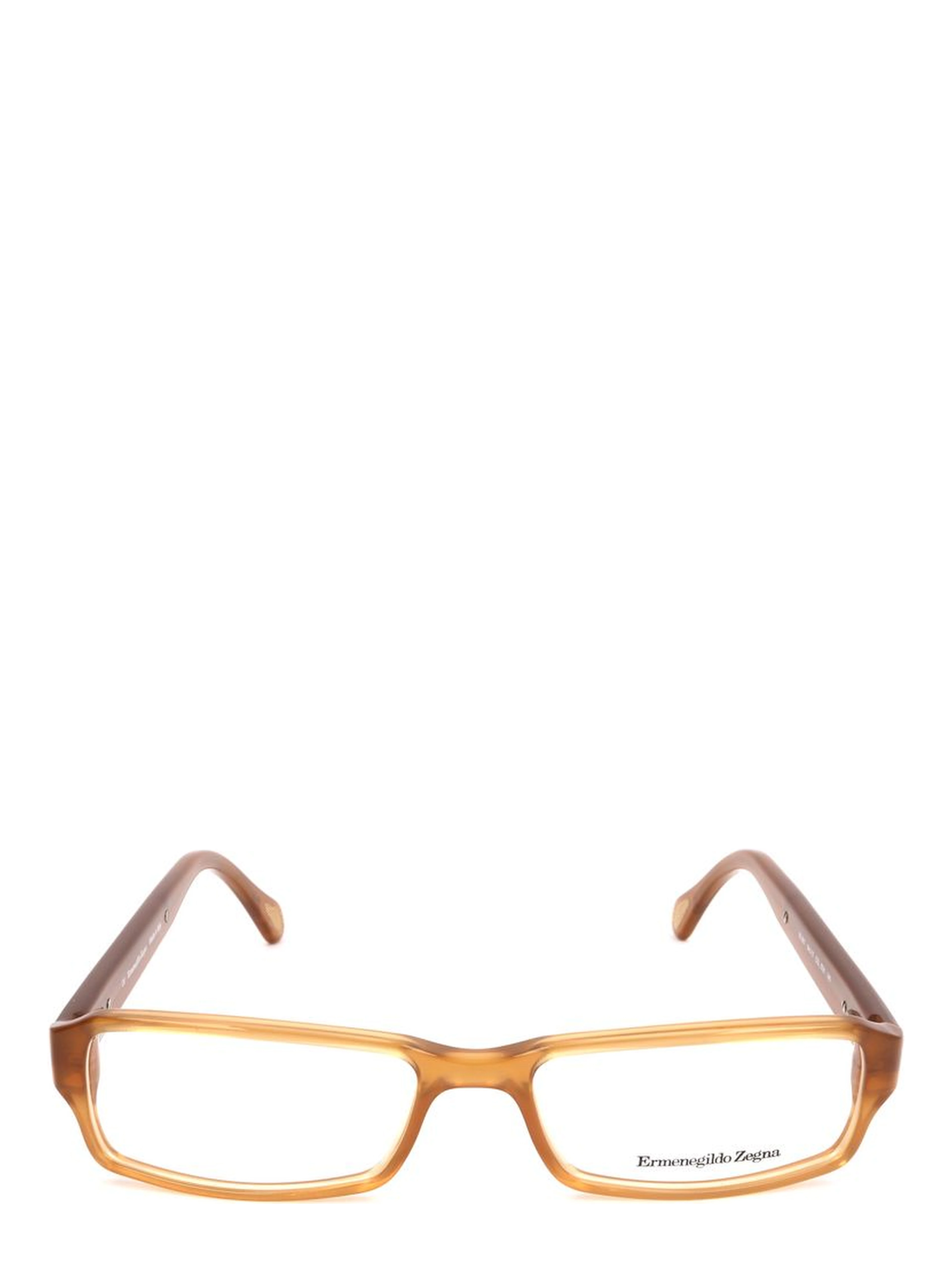 Brown Plastic Glasses (Frames)