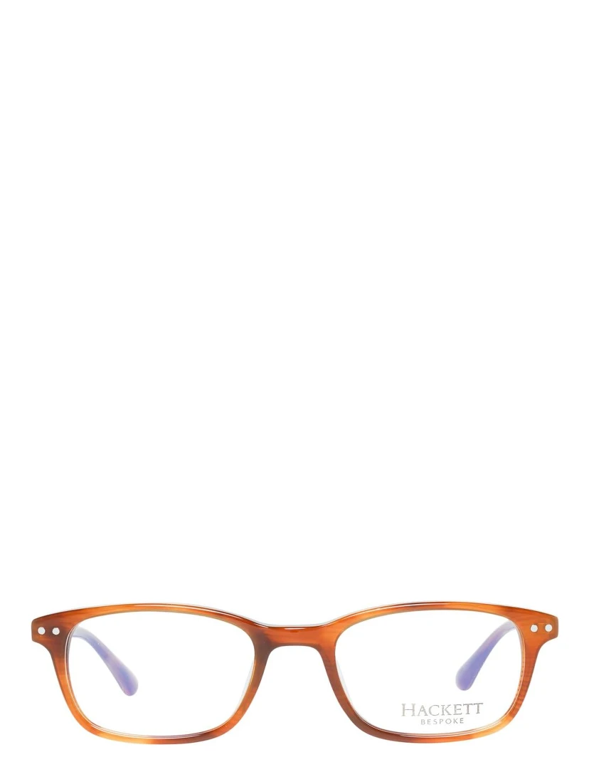 Brown Plastic Glasses (Frames)