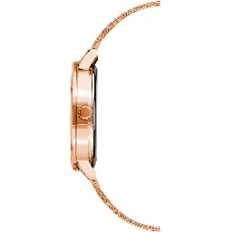 Multicolor Stainless Steel Dress Watch