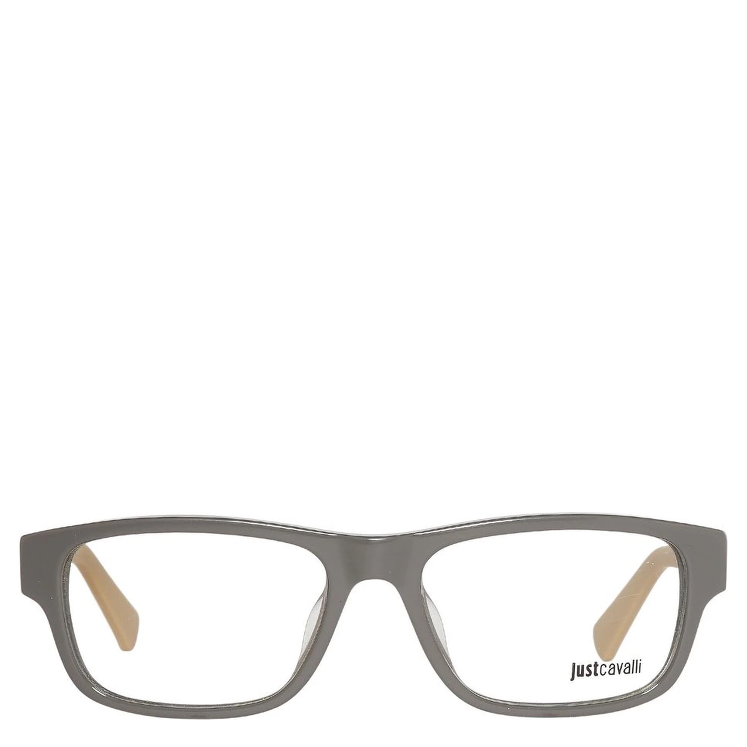 Gray Plastic Glasses (Frames)