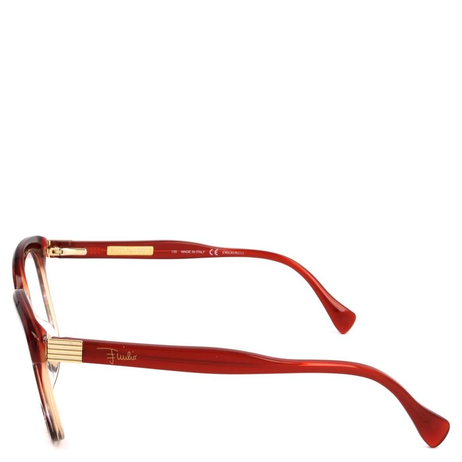 Red Plastic Glasses (Frames)