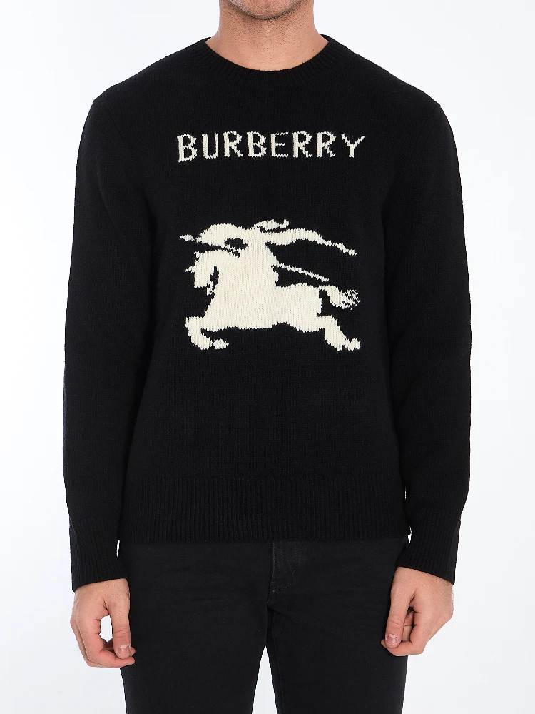 Sweater with logo