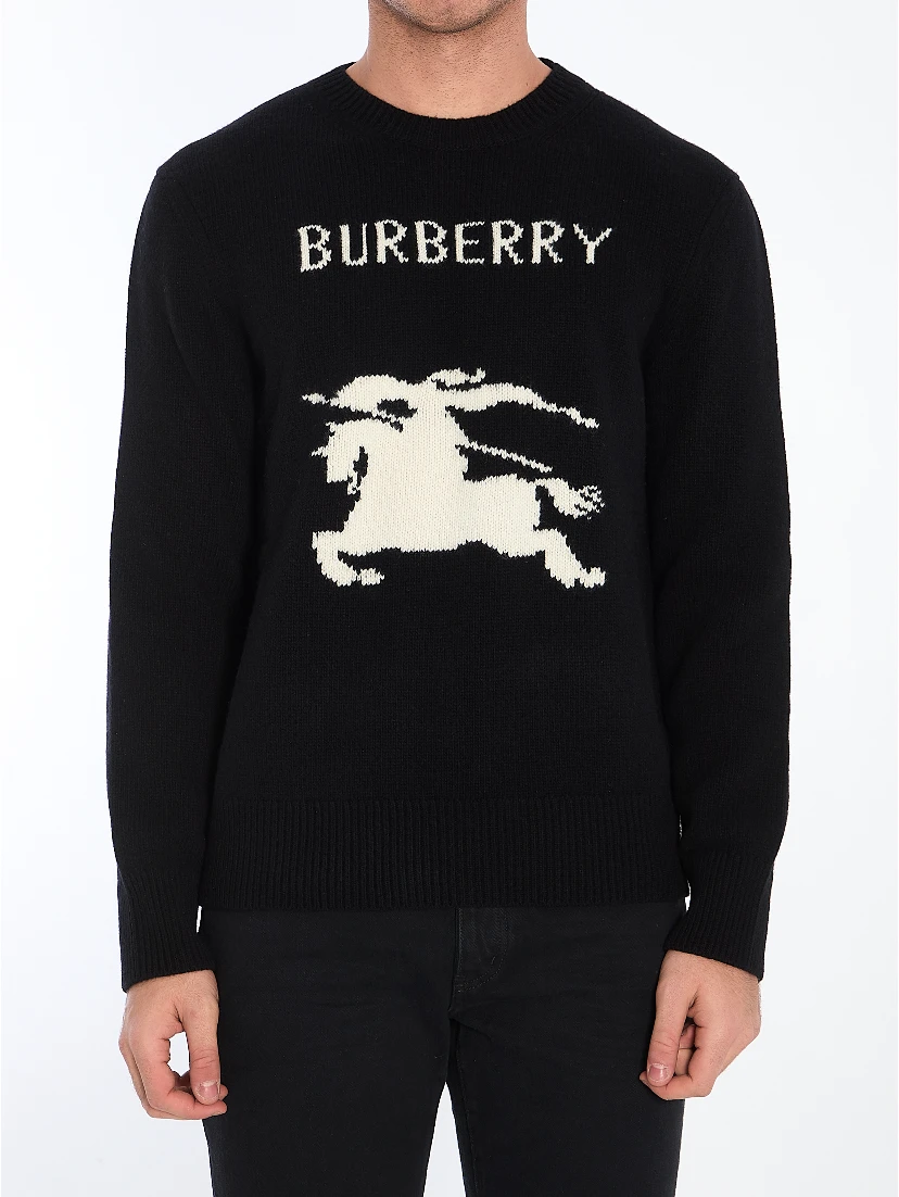 Sweater with logo