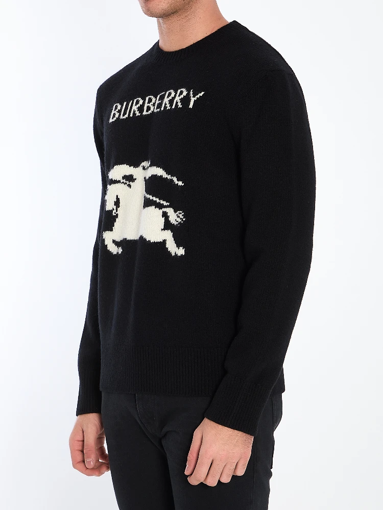 Sweater with logo alternative