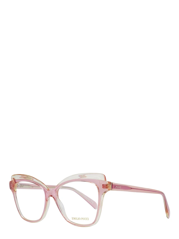 Pink Plastic Glasses (Frames)