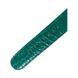 Green Textured Leather Gold Tone Metal Buckle Neckband