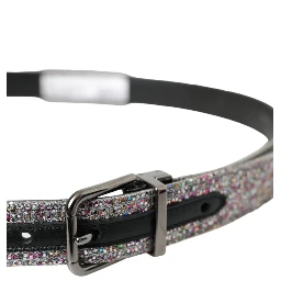 Multicolor Embellished Silver Metal Buckle Belt