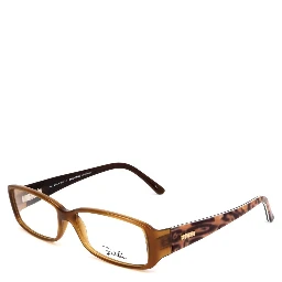 Brown Plastic Glasses (Frames)