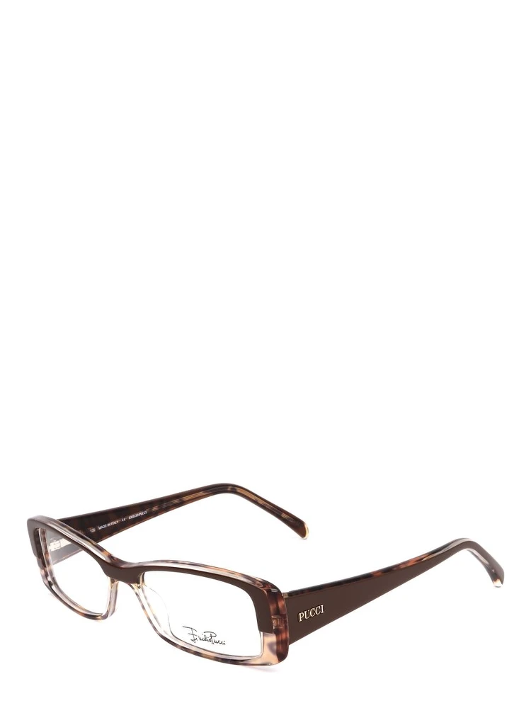 Brown Plastic Glasses (Frames)