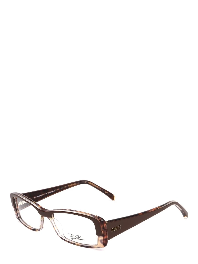 Brown Plastic Glasses (Frames)